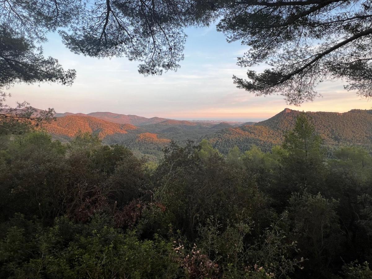 Villa Soanne Bagnols-en-Forêt Εξωτερικό φωτογραφία